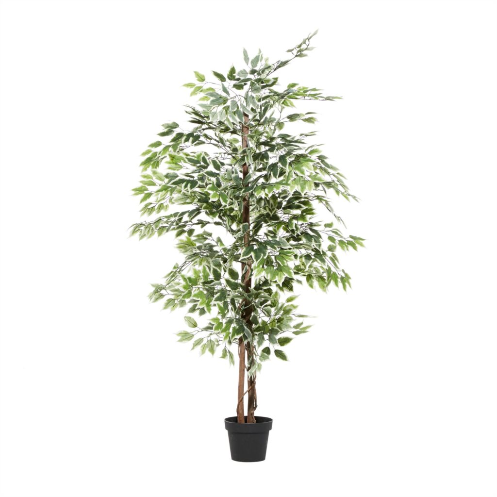 Artificial Potted Plant Weeping Fig 21cm (IK40375172) Allora Office Furniture